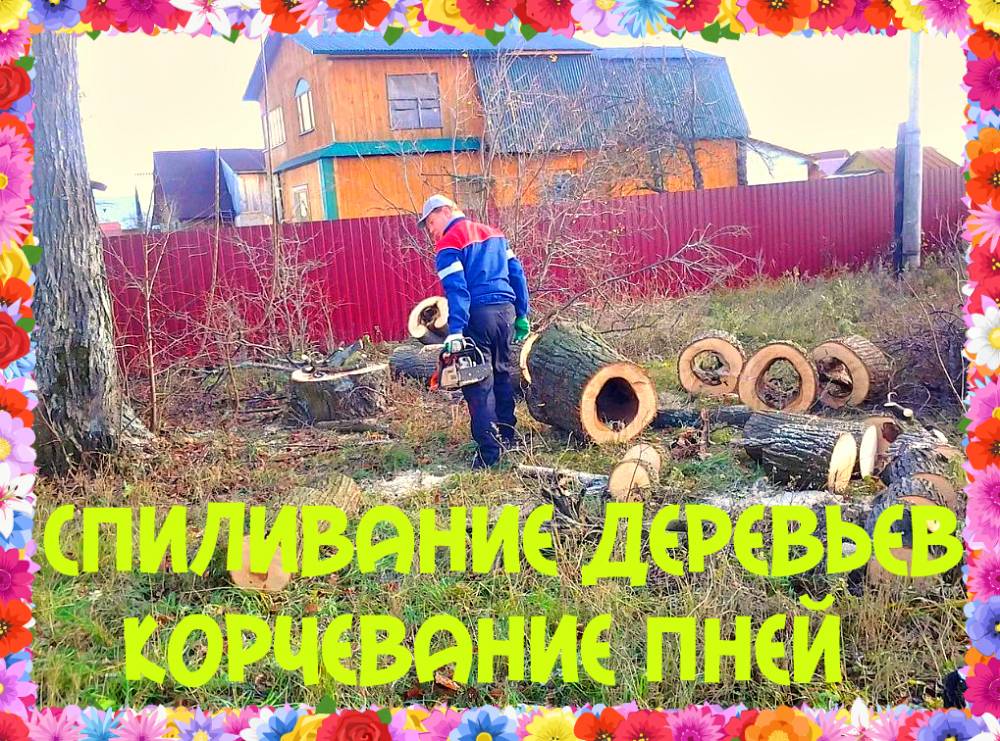 Спиливаем деревья в городе Воронеже
