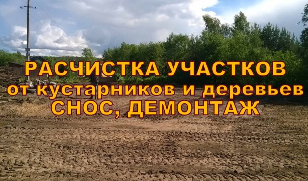 Расчистка участка Ямное, спиливаем и косим в Ямном Воронежской области