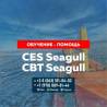 Поможем сдать Seagull CES, Seagull CBT и другие тесты для моряков