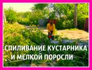 Спил кустов и спиливание деревьев в городе Масловка и спилим по области в Масловке