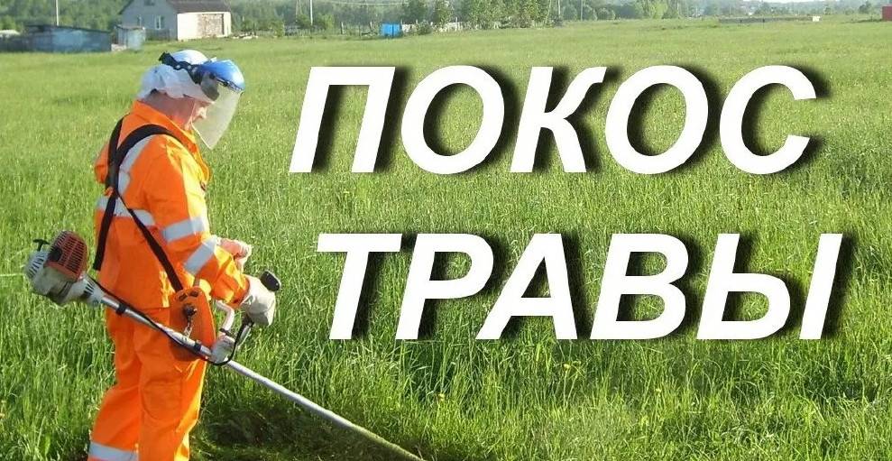 Косим траву в Воронеже и Воронежской облати