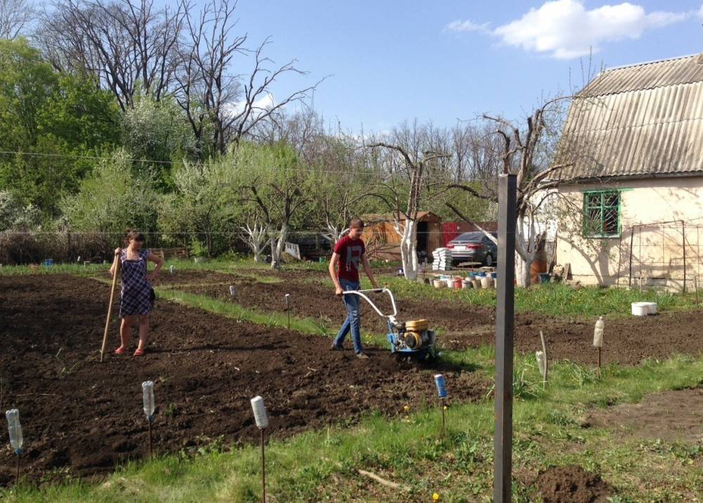 Вскапать огород в Медовке мотоблоком, вскапывание мотоблоком Медовка Воронежской области