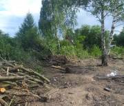 Расчистить участок Чертовицы, комплексная расчистка участков в Чертовицах