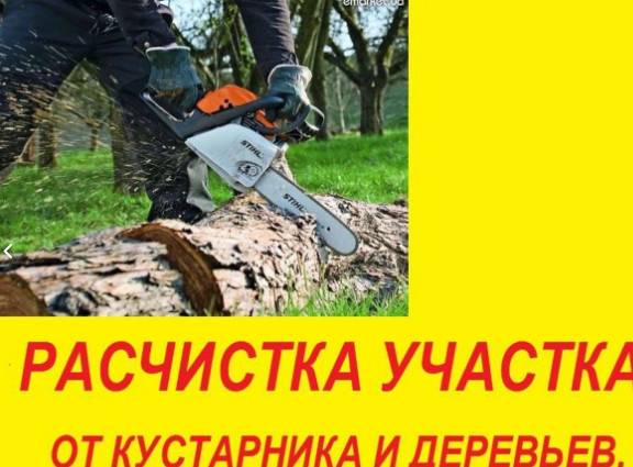 Расчистка участка в Дальних садах Воронеж
