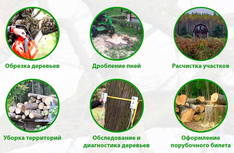 Сайт благоустройство Отрадное Воронеж и область спиливание деревьев