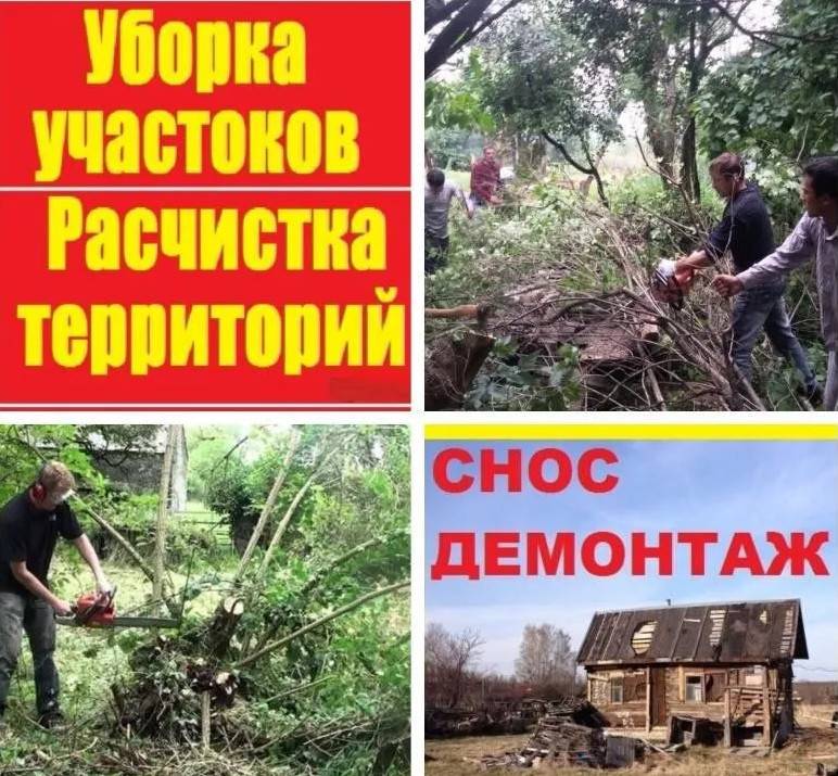 Благоустроить в Подклетном Воронежской области и планировка